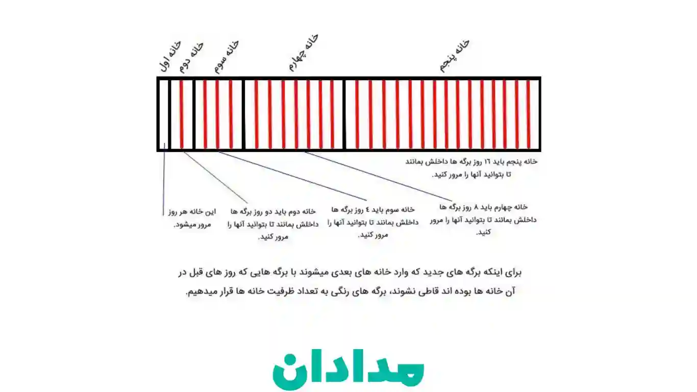 تصویری از یک جعبه لایتنر که به پنج بخش تقسیم شده است. هر بخش نشان‌دهنده سطح یادگیری متفاوت است.